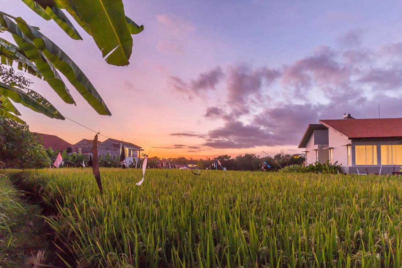 Charming Ricefield View 3 Bedrooms Villa Canggu Exterior foto